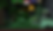 Fandominion_Screenshot 2.png